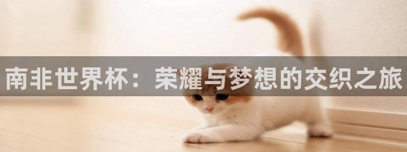 世界直播:南非世界杯:荣耀与梦想的交织之旅