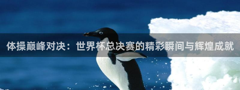 世界杯预选赛规则:体操巅峰对决:世界杯总决赛的精彩瞬间与辉煌成就