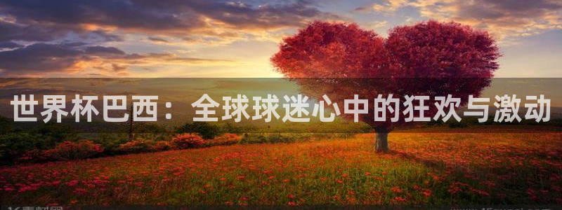 世界杯直播观看:世界杯巴西:全球球迷心中的狂欢与激动